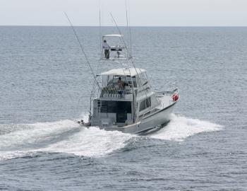 fishing charter water activities on marco island